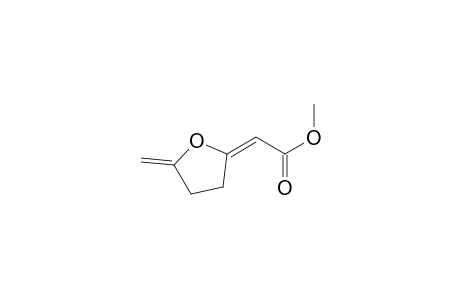 Methyl [2-(5-methylene)tetrahydrofuranylidene]acetate
