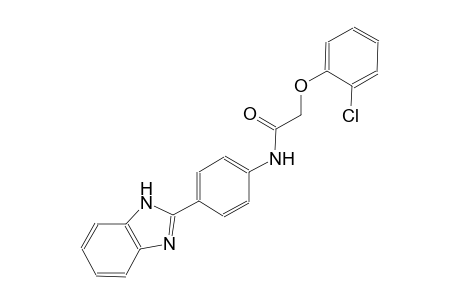 N-[4-(1H-benzimidazol-2-yl)phenyl]-2-(2-chlorophenoxy)acetamide
