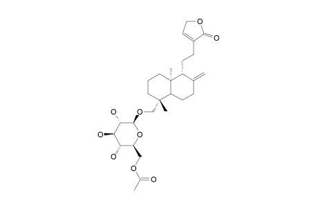 (6'-ACETYL)-19-BETA-D-GLUCOPYRANOSYLOXY-8(17),13-ENT-LABDADIEN-15->16-LACTONE