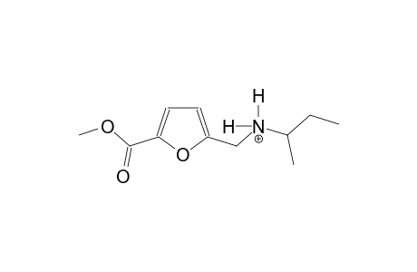 N-{[5-(methoxycarbonyl)-2-furyl]methyl}-2-butanaminium