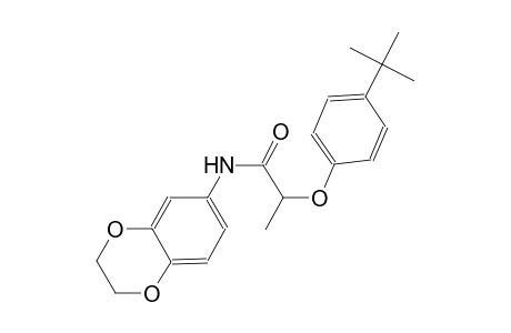 2-(4-tert-butylphenoxy)-N-(2,3-dihydro-1,4-benzodioxin-6-yl)propanamide
