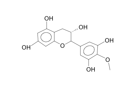 (-)-4'-O-METHOXYEPIGALLOCATECHIN