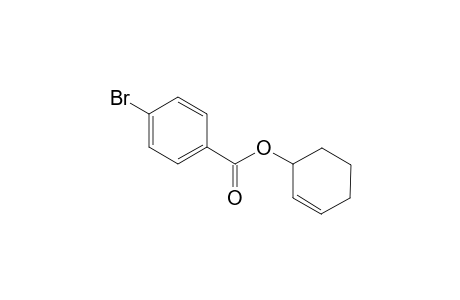 Cyclohex-2-enyl 4-bromobenzoate