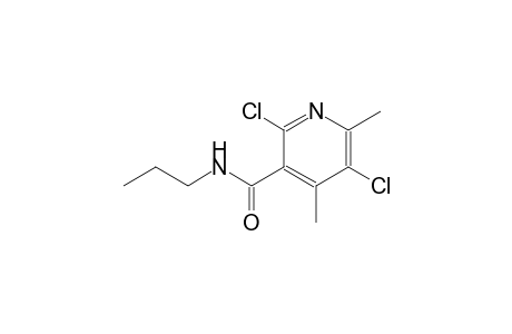 2,5-dichloro-4,6-dimethyl-N-propylnicotinamide