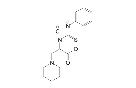 2-(3-PHENYLTHIOUREIDO)-3-(PYRROLIDIN-1-YL)-PROPANOIC-ACID-HYDROCHLORIDE