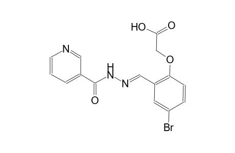 (4-bromo-2-{(E)-[(3-pyridinylcarbonyl)hydrazono]methyl}phenoxy)acetic acid