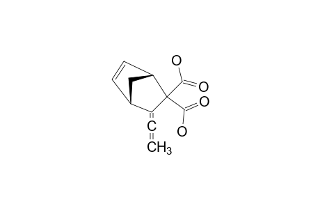 3-ETHENYLIDENEBICYCLO-[2.2.1]-HEPT-5-ENE-2,2-DICARBOXYLIC-ACID