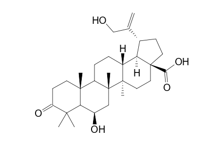 6.beta.,30-Dihydroxy-3-oxolup-20(29)-en-28-oic Acid