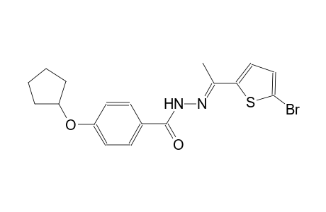 N'-[(E)-1-(5-bromo-2-thienyl)ethylidene]-4-(cyclopentyloxy)benzohydrazide