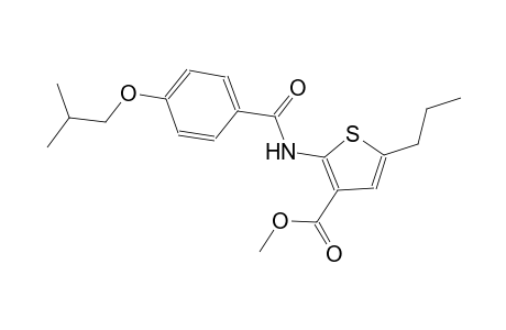 methyl 2-[(4-isobutoxybenzoyl)amino]-5-propyl-3-thiophenecarboxylate
