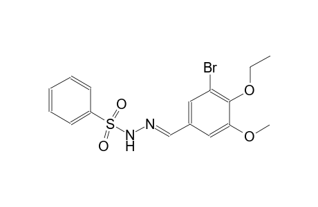 N'-[(E)-(3-bromo-4-ethoxy-5-methoxyphenyl)methylidene]benzenesulfonohydrazide