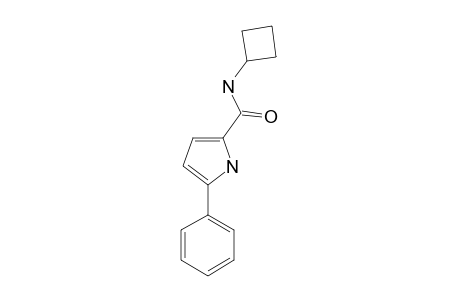 5-PHENYL-1H-PYRROLE-2-CARBOXYLIC-ACID-CYCLOBUTYL-AMIDE