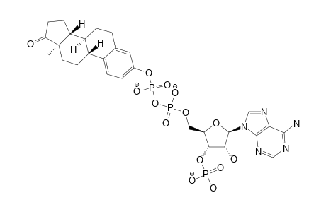 3'-PHOSPHO-ADENOSINE-5'-DIPHOSPHO-(3-ESTRONE)