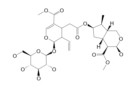 LOASAFOLIOSIDE;6-[[[3-ETHENYL-2-(BETA-D-GLUCOPYRANOSYLOXY)-3,4-DIHYDRO-5-(METHOXYCARBONYL)-2H-PYRAN-4-YL]-ACETYL]-OXY]-OCTAHYDRO-7-MET