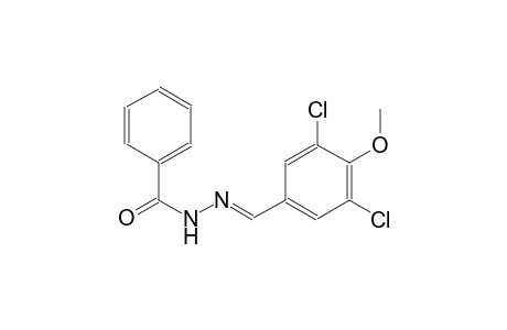 N'-[(E)-(3,5-dichloro-4-methoxyphenyl)methylidene]benzohydrazide