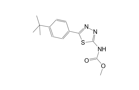 methyl 5-(4-tert-butylphenyl)-1,3,4-thiadiazol-2-ylcarbamate