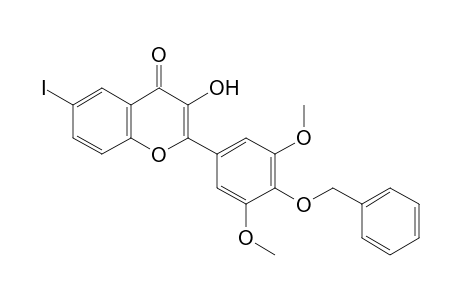 3-Hydroxy-6-iodo-2-(4-benzyloxy-3,5-dimethoxy phenyl)-chromen-4-one