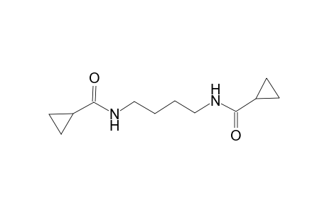 N-{4-[(cyclopropylcarbonyl)amino]butyl}cyclopropanecarboxamide