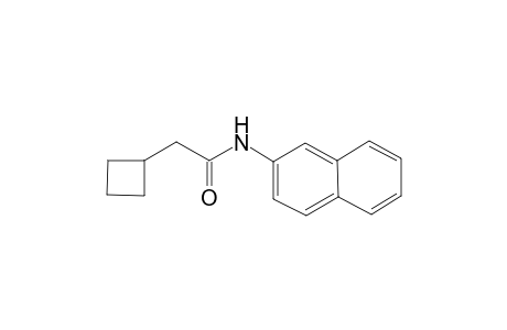 2-Cyclobutyl-N-(2-naphthyl)acetamide