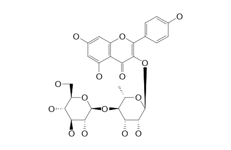 KAEMPFEROL-3-O-BETA-GLUCOPYRANOSYL-(1->4)-ALPHA-RHAMNOPYRANOSIDE