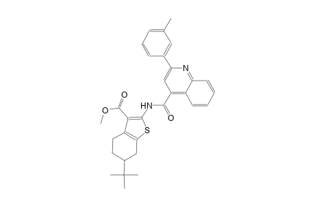 methyl 6-tert-butyl-2-({[2-(3-methylphenyl)-4-quinolinyl]carbonyl}amino)-4,5,6,7-tetrahydro-1-benzothiophene-3-carboxylate