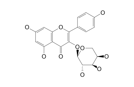 KAEMPFEROL_3-O-ARABINOPYRANOSIDE