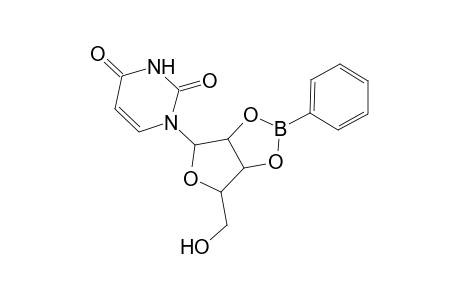 Uridine, cyclic 2',3'-(phenylboronate)