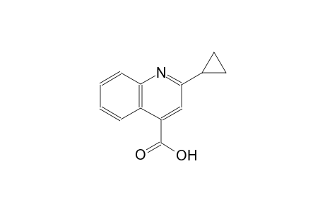 2-cyclopropyl-4-quinolinecarboxylic acid