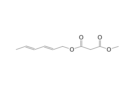 Propanedioic acid, 2,4-hexadienyl methyl ester, (E,E)-