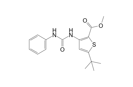 5-tert-butyl-3-(3-phenylureido)-2-thiophenecarboxylic acid, methyl ester
