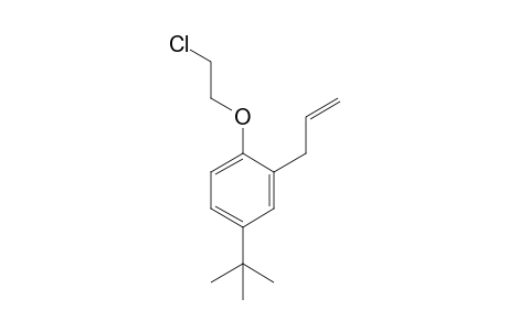 2-Allyl-4-(tert-butyl)-1-(2-chloroethoxy)benzene