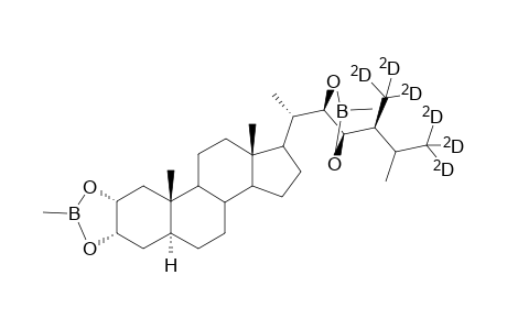[2H6]-6-Deoxocastasterone BMB