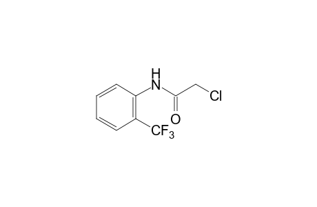 2-CHLORO-alpha,alpha,alpha-TRIFLUORO-o-ACETOTOLUIDIDE