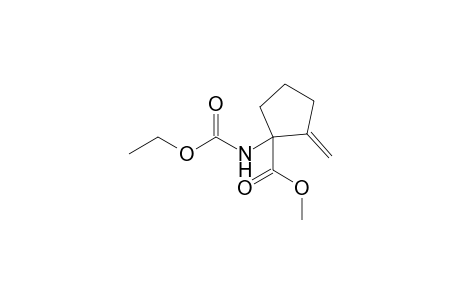 1-(carbethoxyamino)-2-methylene-cyclopentanecarboxylic acid methyl ester