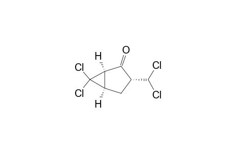 Bicyclo[3.1.0]hexan-2-one, 6,6-dichloro-3-(dichloromethyl)-, (1.alpha.,3.alpha.,5.alpha.)-