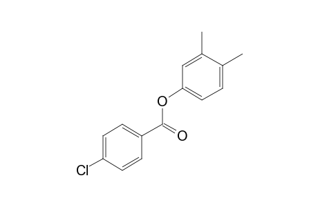 4-Chlorobenzoic acid, 3,4-dimethylphenyl ester