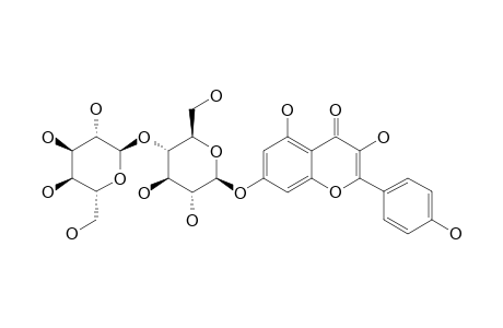 KAEMPFEROL-7-O-BETA-D-GLUCOPYRANOSYL-(1->4)-BETA-D-GLUCOPYRANOSIDE