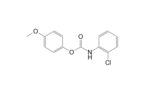 4-methoxyphenyl 2-chlorophenylcarbamate