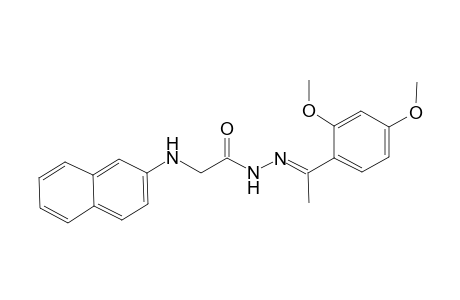 N-[(E)-1-(2,4-dimethoxyphenyl)ethylideneamino]-2-(2-naphthalenylamino)acetamide