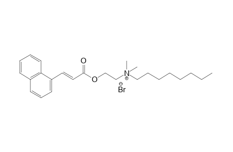 dimethyl(2-hydroxyethyl)octylammonium bromide, trans-1-naphthaleneacrylate
