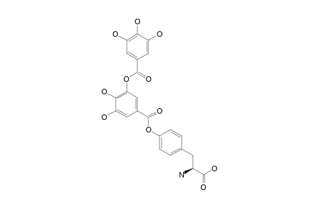 DIGALLOYLTYROSINE