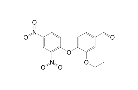 4-(2,4-dinitrophenoxy)-3-ethoxybenzaldehyde