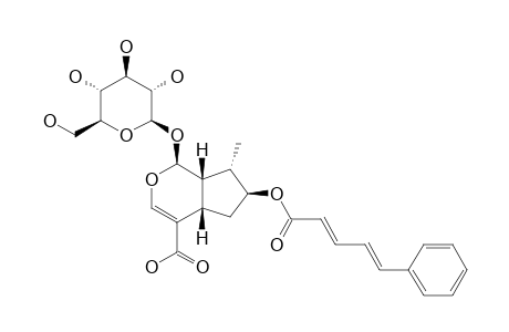 7-O-(5-PHENYL-2,4-PENTADIENOYL)-8-EPI-LOGANIC_ACID