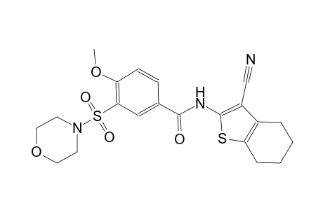 N-(3-cyano-4,5,6,7-tetrahydro-1-benzothien-2-yl)-4-methoxy-3-(4-morpholinylsulfonyl)benzamide