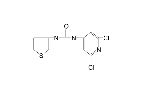 1-(2,6-dichloro-4-pyridyl)-3-(tetrahydro-3-thienyl)urea