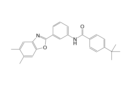 benzamide, N-[3-(5,6-dimethyl-2-benzoxazolyl)phenyl]-4-(1,1-dimethylethyl)-