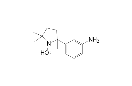 2,5,5-Trimethyl-2-(3-aminophenyl)pyrrolidin-1-yloxy radical