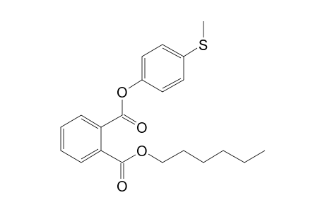 Phthalic acid, hexyl 4-methylthiophenyl ester