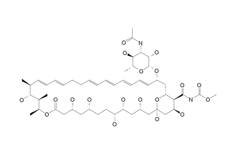 3'-N-ACETYL-AMPHOTERICIN-A-METHOXY-CARBONYL-METHYLAMIDE