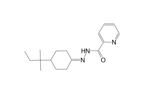 N'-(4-tert-pentylcyclohexylidene)-2-pyridinecarbohydrazide